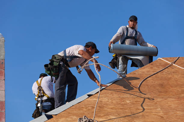 Best Metal Roofing Contractor  in Chetopa, KS